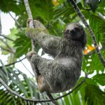 Costa Rica’s Natural Jewels
